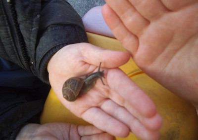 Snail Child at Greatworth PreSchool Near Brackley