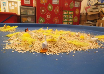 Chicken Ducks Play at Greatworth PreSchool Near Brackley